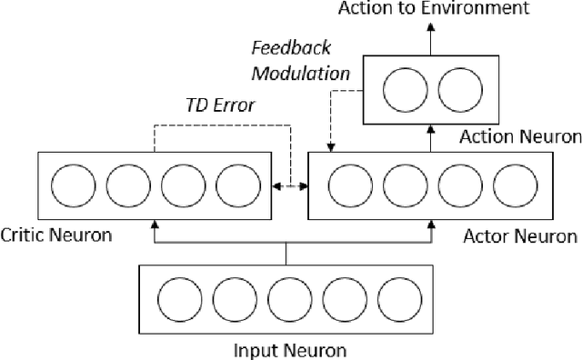 Figure 1 for Reinforcement Learning with Feedback-modulated TD-STDP