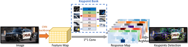 Figure 1 for CoKe: Localized Contrastive Learning for Robust Keypoint Detection