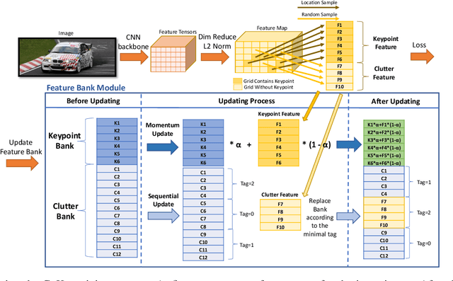 Figure 3 for CoKe: Localized Contrastive Learning for Robust Keypoint Detection