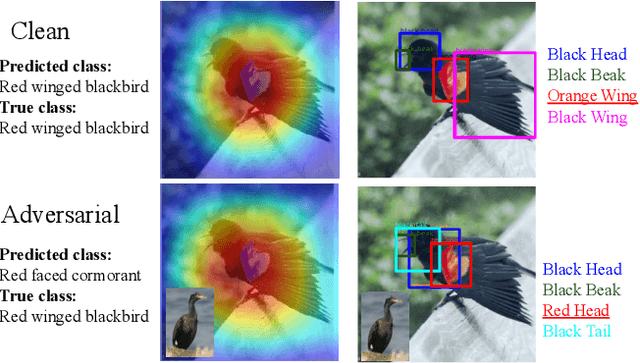 Figure 2 for Explaining with Counter Visual Attributes and Examples