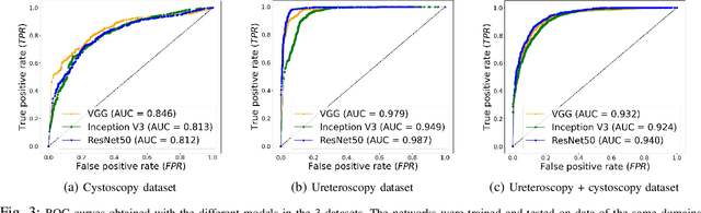 Figure 3 for A transfer-learning approach for lesion detection in endoscopic images from the urinary tract