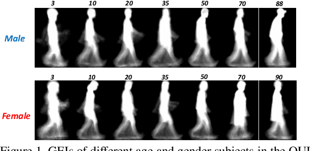 Figure 1 for Ordinal Distribution Regression for Gait-based Age Estimation