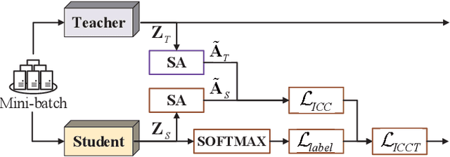 Figure 4 for Transferring Inter-Class Correlation
