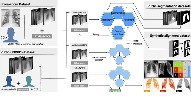 Figure 3 for End-to-end learning for semiquantitative rating of COVID-19 severity on Chest X-rays