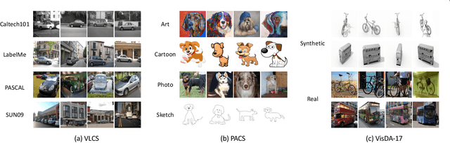 Figure 4 for Domain Generalization: A Survey