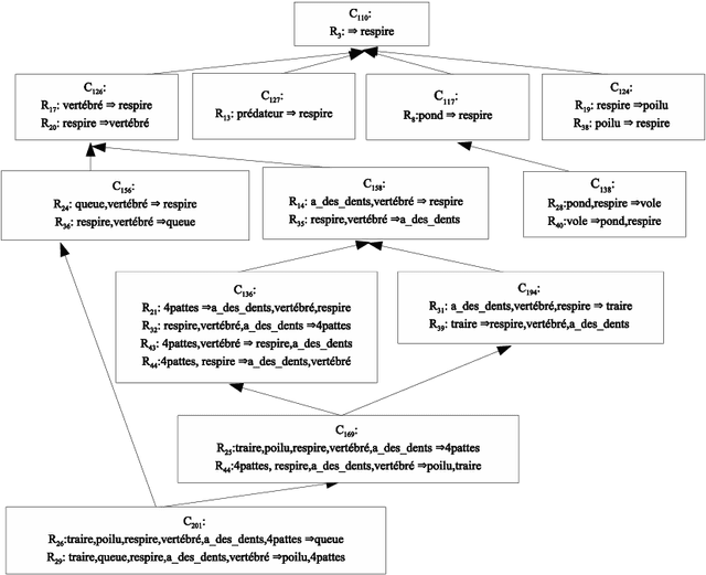 Figure 1 for Hiérarchisation des règles d'association en fouille de textes