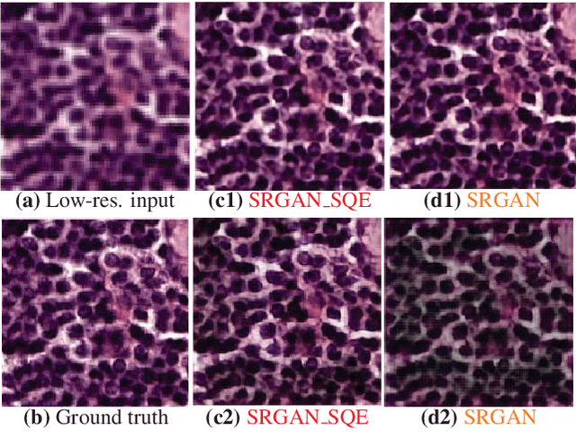 Figure 4 for Robust Super-Resolution GAN, with Manifold-based and Perception Loss