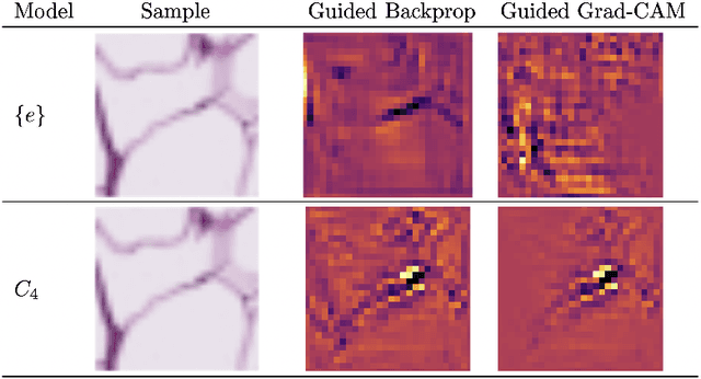Figure 3 for Bridging the Gap: Differentially Private Equivariant Deep Learning for Medical Image Analysis