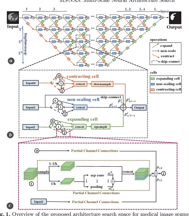 Figure 1 for MS-NAS: Multi-Scale Neural Architecture Search for Medical Image Segmentation