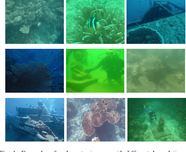 Figure 1 for Enhancing Underwater Image via Adaptive Color and Contrast Enhancement, and Denoising