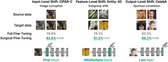 Figure 1 for Surgical Fine-Tuning Improves Adaptation to Distribution Shifts