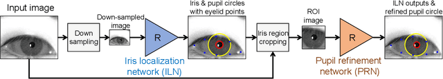 Figure 3 for Segmentation-free Direct Iris Localization Networks