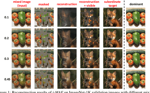 Figure 1 for i-MAE: Are Latent Representations in Masked Autoencoders Linearly Separable?