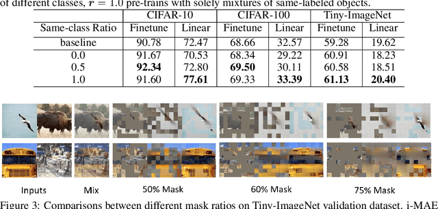 Figure 3 for i-MAE: Are Latent Representations in Masked Autoencoders Linearly Separable?