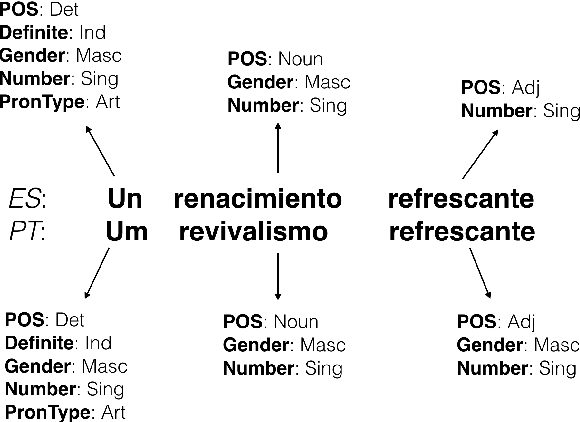 Figure 1 for Marrying Universal Dependencies and Universal Morphology