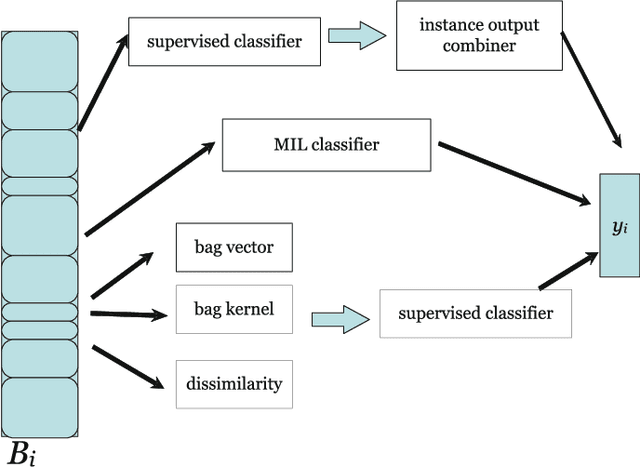 Figure 1 for Characterizing multiple instance datasets