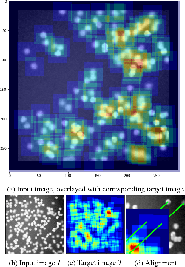 Figure 2 for Count-ception: Counting by Fully Convolutional Redundant Counting