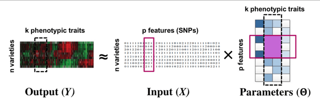 Figure 1 for Simultaneous Parameter Learning and Bi-Clustering for Multi-Response Models