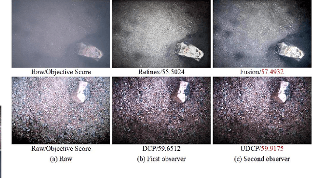 Figure 3 for A Benchmark dataset for both underwater image enhancement and underwater object detection