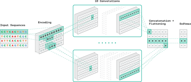 Figure 1 for PromID: human promoter prediction by deep learning