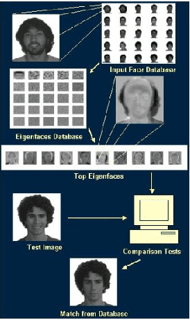Figure 2 for Face Recognition Machine Vision System Using Eigenfaces