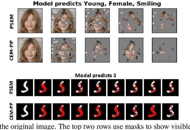 Figure 1 for Towards Better Model Understanding with Path-Sufficient Explanations