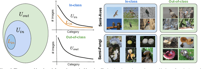 Figure 3 for A Realistic Evaluation of Semi-Supervised Learning for Fine-Grained Classification