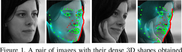 Figure 1 for Dense Face Alignment
