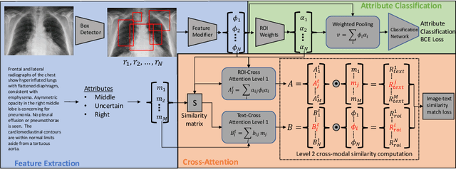 Figure 1 for Improving Pneumonia Localization via Cross-Attention on Medical Images and Reports