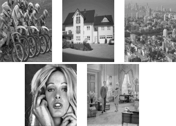 Figure 4 for Learning Filter Bank Sparsifying Transforms