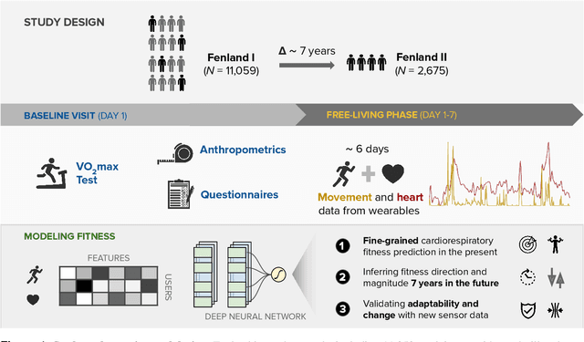 Figure 1 for Longitudinal cardio-respiratory fitness prediction through free-living wearable sensors