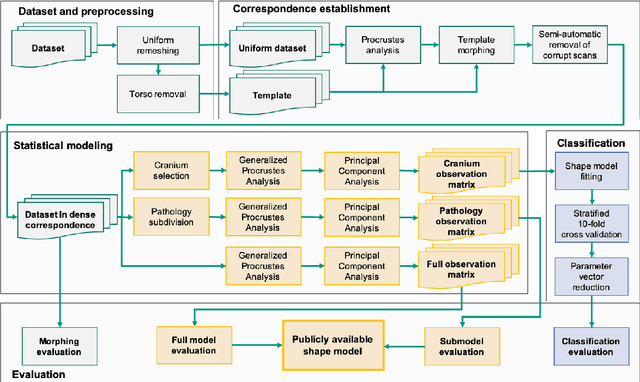 Figure 1 for A statistical shape model for radiation-free assessment and classification of craniosynostosis