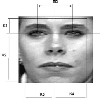 Figure 3 for 2D Face Recognition System Based on Selected Gabor Filters and Linear Discriminant Analysis LDA