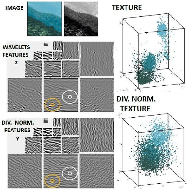 Figure 3 for Neural Networks with Divisive normalization for image segmentation with application in cityscapes dataset