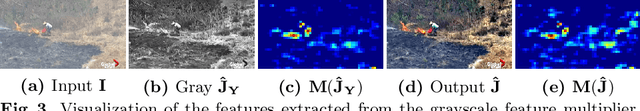 Figure 4 for Structure Representation Network and Uncertainty Feedback Learning for Dense Non-Uniform Fog Removal