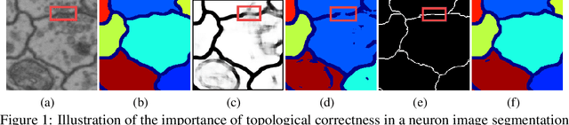 Figure 1 for Topology-Aware Segmentation Using Discrete Morse Theory