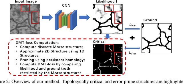 Figure 3 for Topology-Aware Segmentation Using Discrete Morse Theory