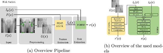 Figure 1 for Opportunistic hip fracture risk prediction in Men from X-ray: Findings from the Osteoporosis in Men (MrOS) Study