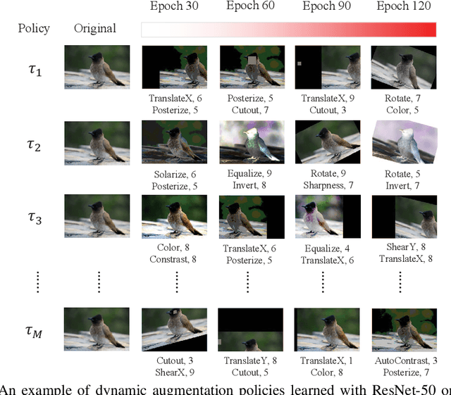 Figure 2 for Adversarial AutoAugment