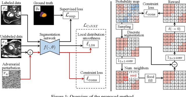 Figure 1 for Context-aware virtual adversarial training for anatomically-plausible segmentation