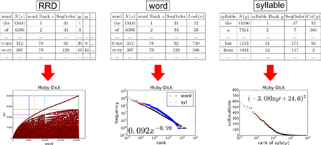 Figure 3 for Mechanism of Evolution Shared by Gene and Language
