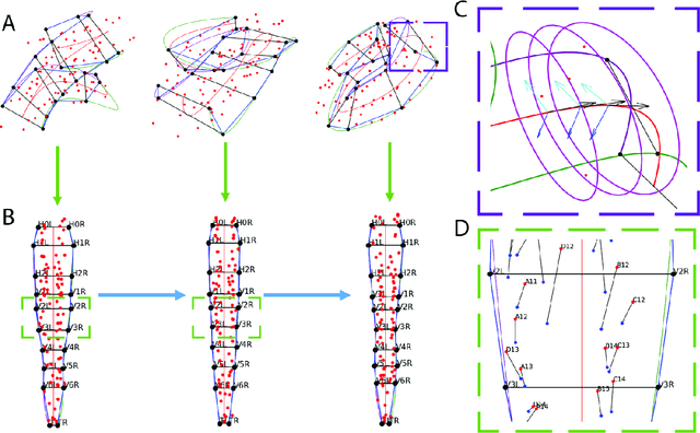 Figure 3 for A Semi-automatic Cell Tracking Process Towards Completing the 4D Atlas of C. elegans Development