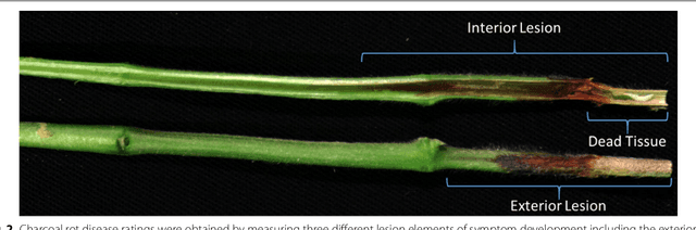 Figure 3 for Hyperspectral band selection using genetic algorithm and support vector machines for early identification of charcoal rot disease in soybean