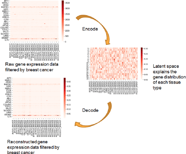 Figure 1 for Variational Autoencoder for Anti-Cancer Drug Response Prediction
