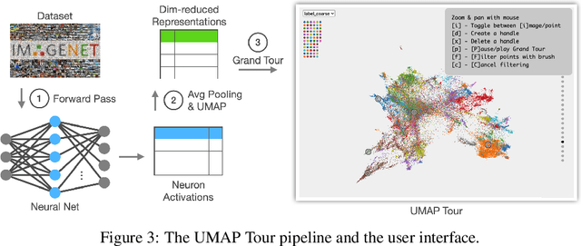 Figure 4 for Comparing Deep Neural Nets with UMAP Tour