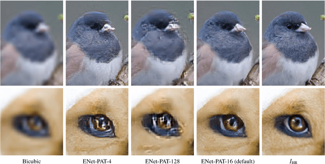 Figure 2 for EnhanceNet: Single Image Super-Resolution Through Automated Texture Synthesis