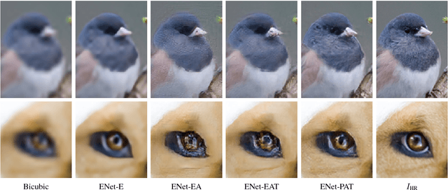 Figure 4 for EnhanceNet: Single Image Super-Resolution Through Automated Texture Synthesis