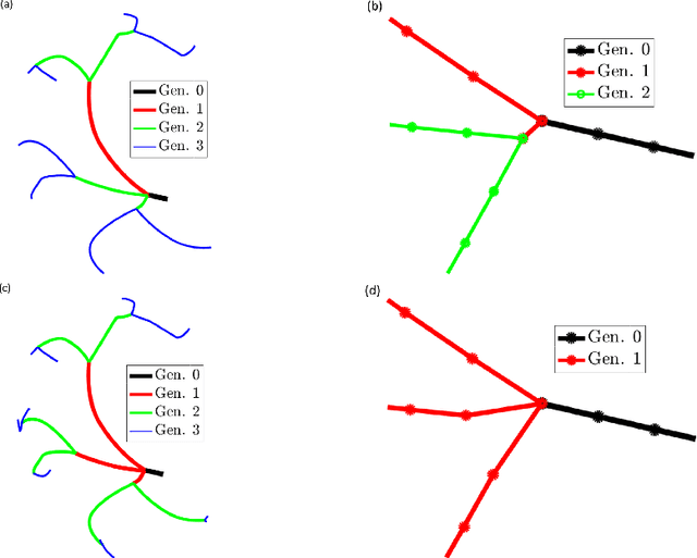 Figure 3 for A Graph Theoretic Exploration of Coronary Vascular Trees
