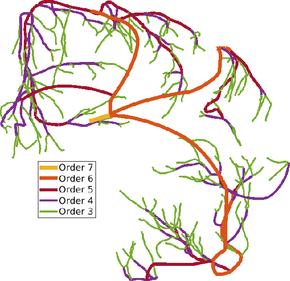 Figure 4 for A Graph Theoretic Exploration of Coronary Vascular Trees