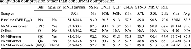 Figure 1 for Compressing Pre-trained Transformers via Low-Bit NxM Sparsity for Natural Language Understanding